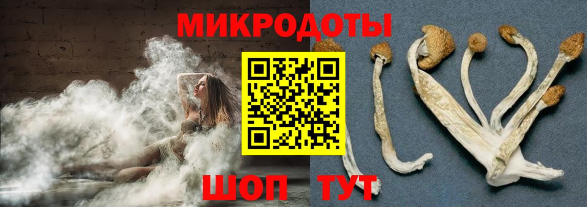 Балашов  Псилоцибиновые грибы Cubensis  Вход с VPN 